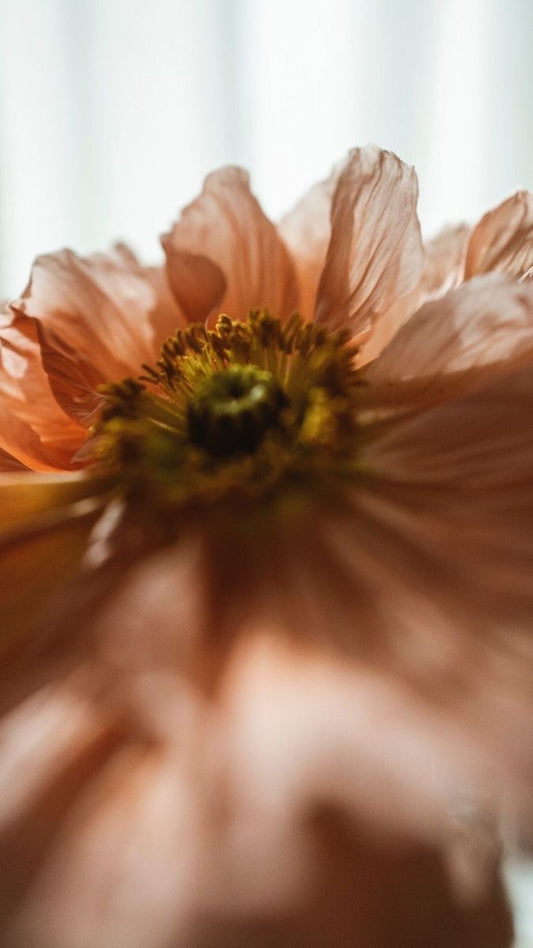 Akasha Chronik Reading